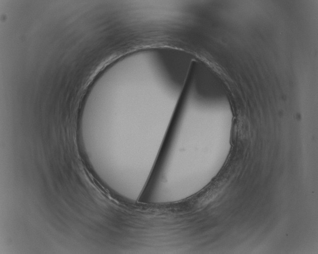 X0000067850434200604271649