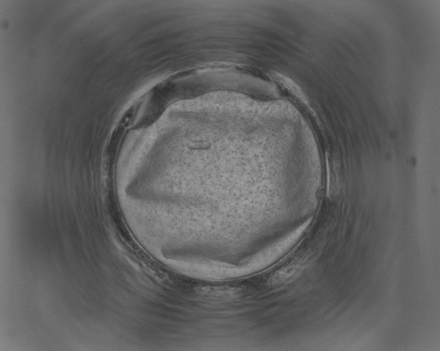 X0000067850435200604271649