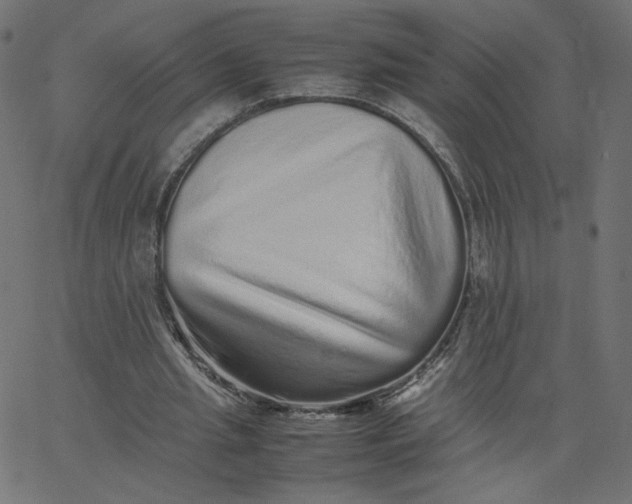 X0000067850437200604271649