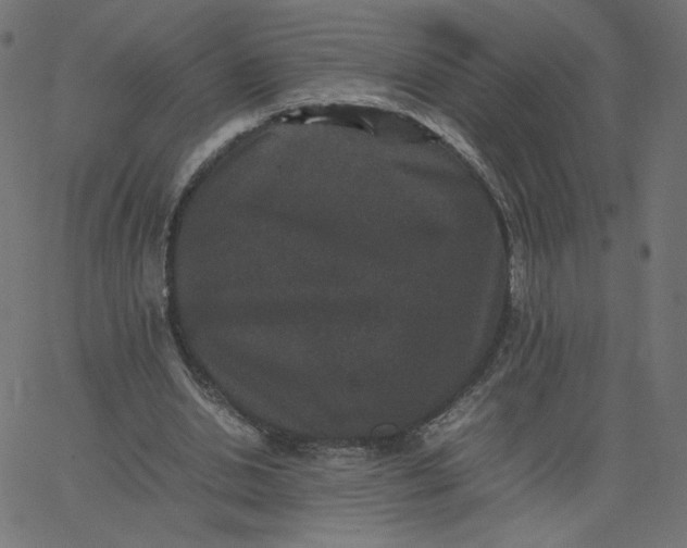 X0000067850438200604271649