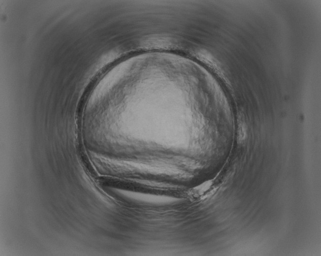 X0000067850439200604271649