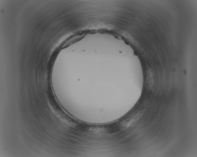 X0000067850440200604271649