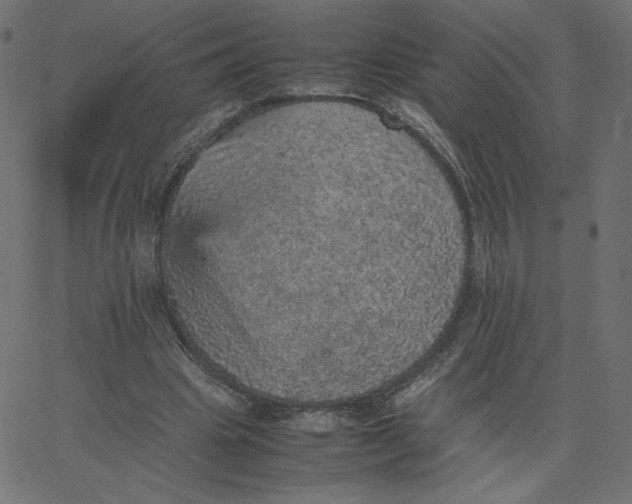 X0000067850441200604271649