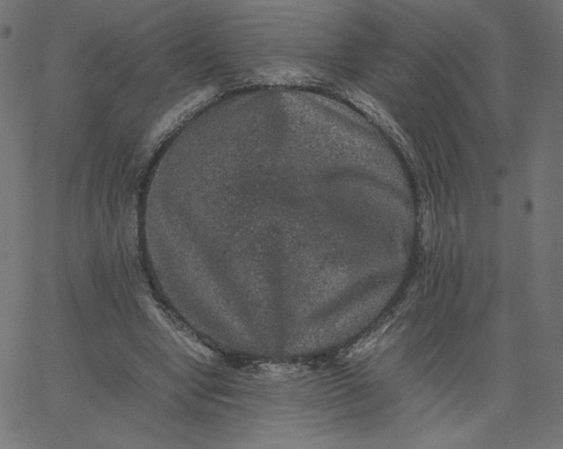 X0000067850442200604271649