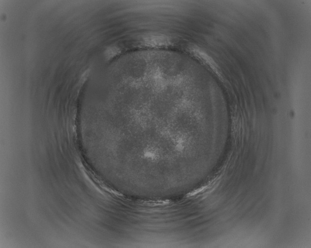 X0000067850443200604271649