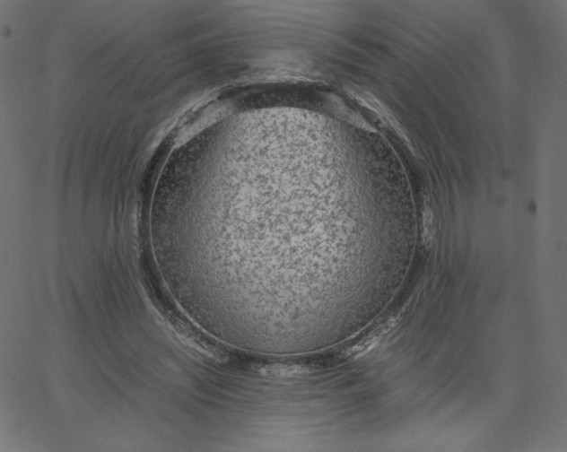 X0000067850444200604271649