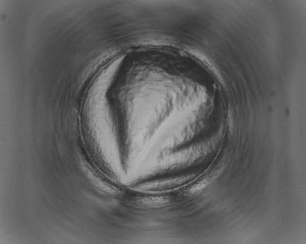 X0000067850445200604271649