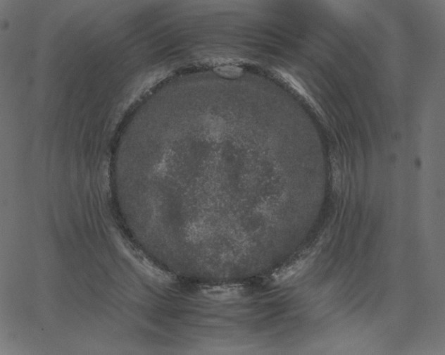 X0000067850447200604271649