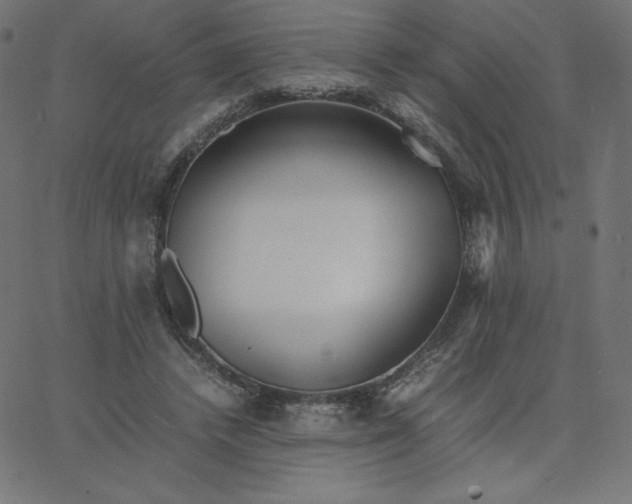 X0000067850448200604271649