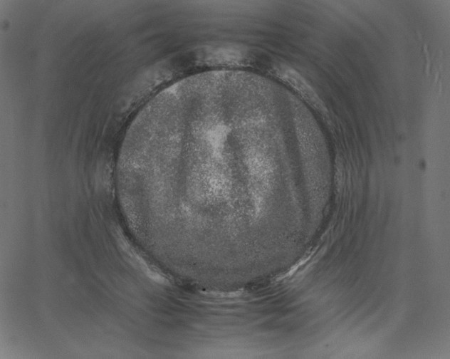 X0000067850449200604271649