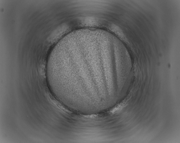 X0000067850450200604271649