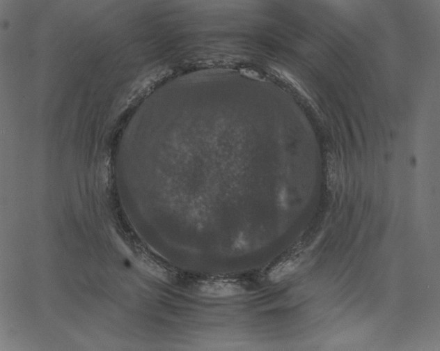 X0000067850451200604271649