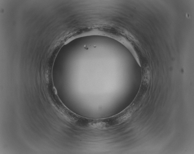 X0000067850452200604271649