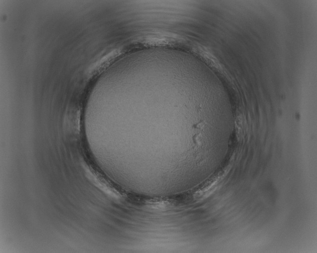 X0000067850454200604271649