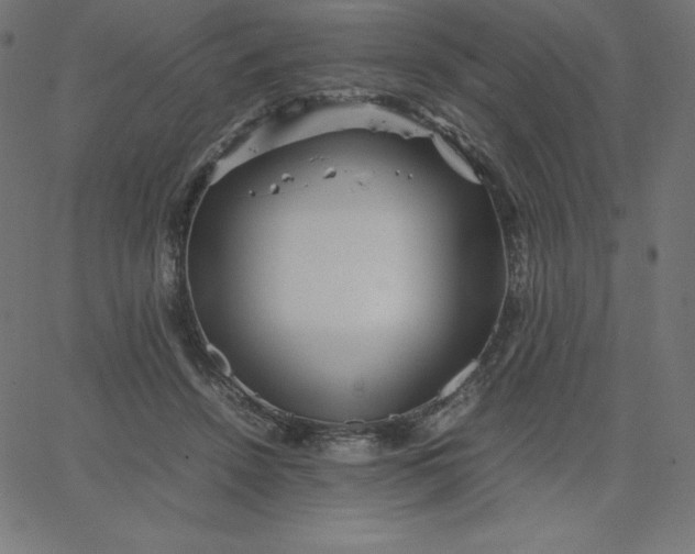 X0000067850456200604271649