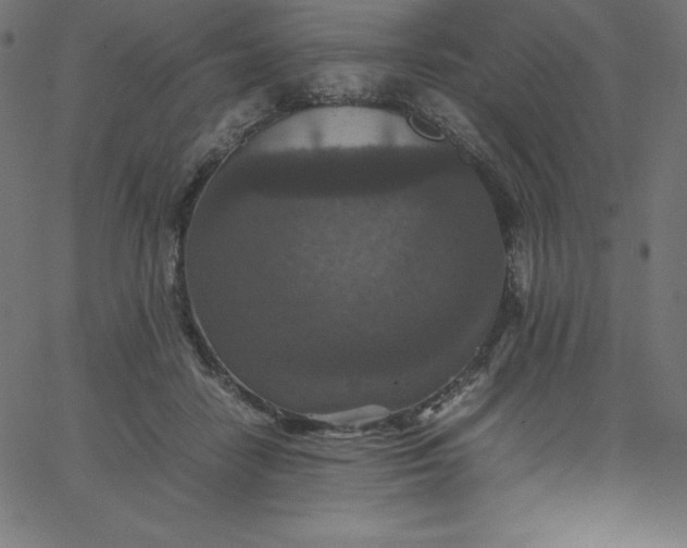 X0000067850458200604271649