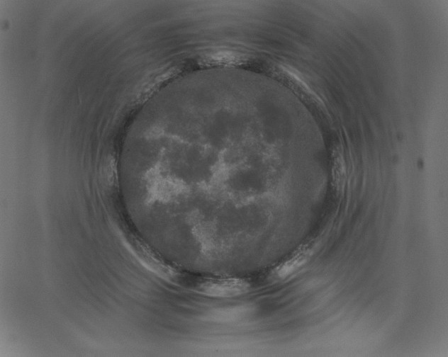 X0000067850459200604271649