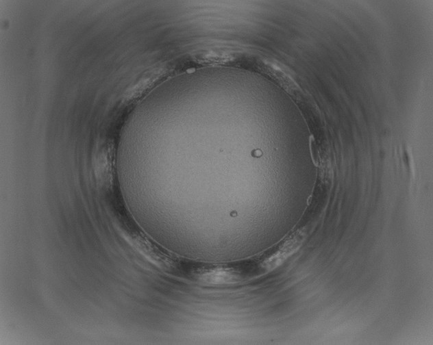 X0000067850460200604271649