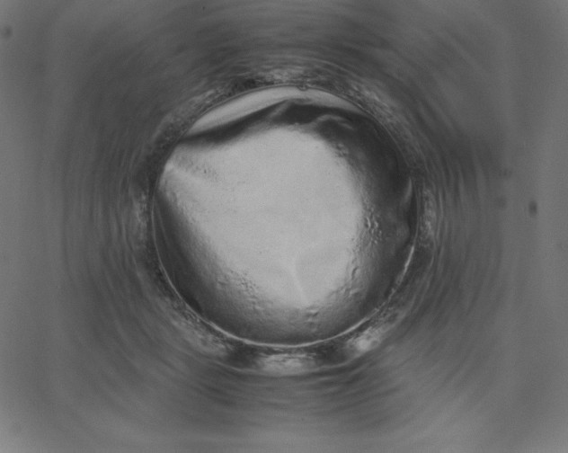 X0000067850461200604271649