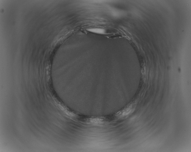 X0000067850462200604271649