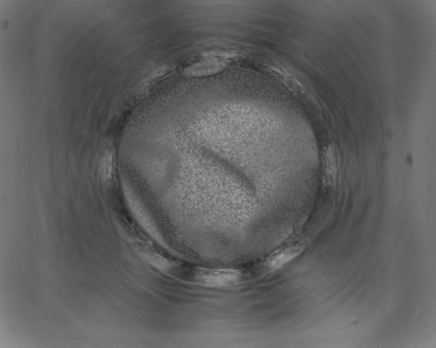 X0000067850463200604271649