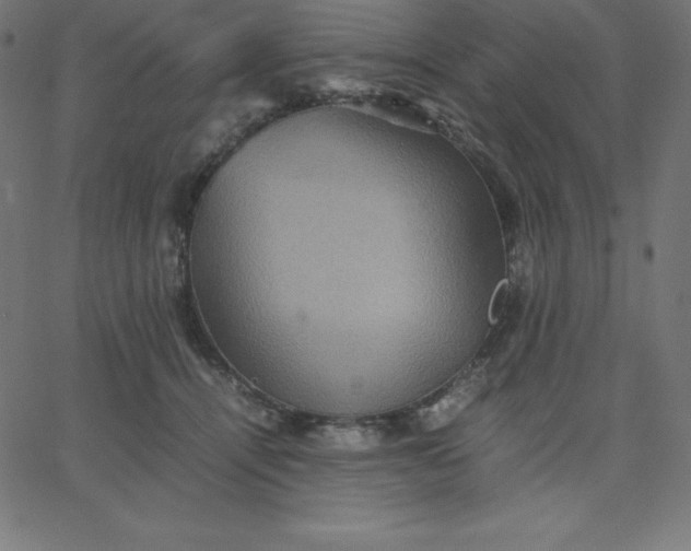 X0000067850464200604271649