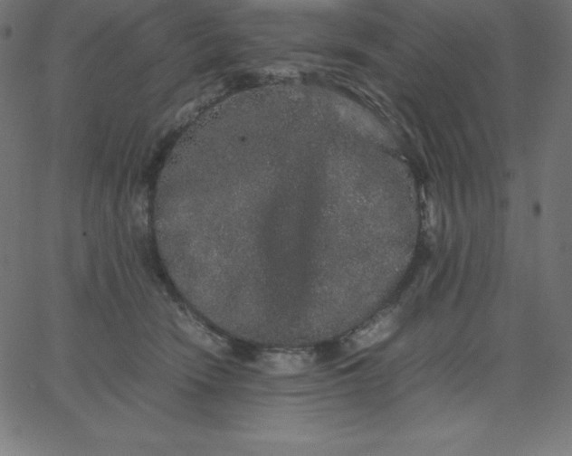 X0000067850466200604271649