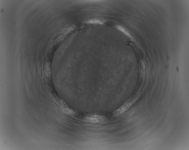 X0000067850467200604271649