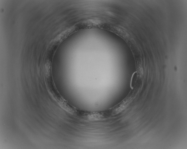 X0000067850468200604271649