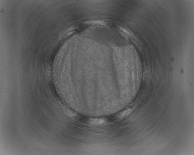 X0000067850469200604271649