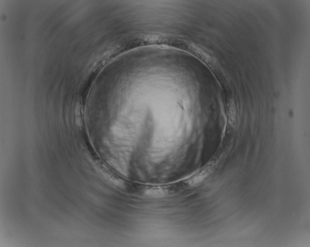 X0000067850470200604271649