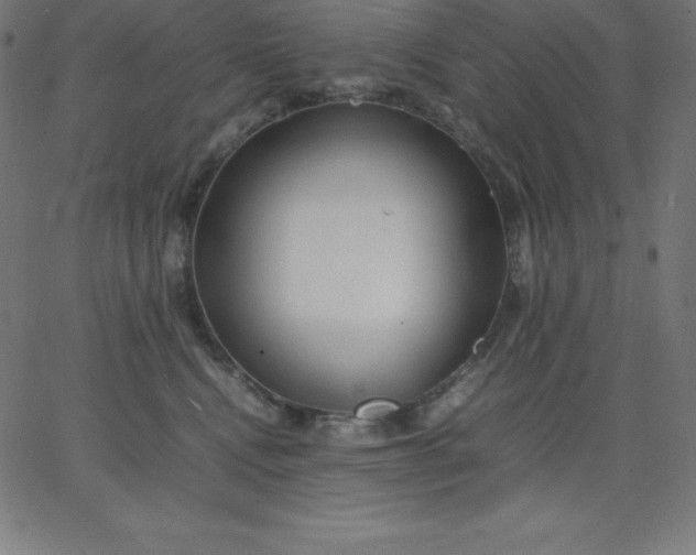 X0000067850472200604271649