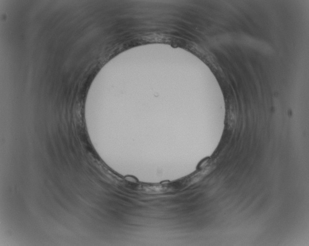 X0000067850473200604271649