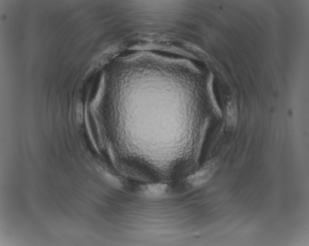 X0000067850474200604271649