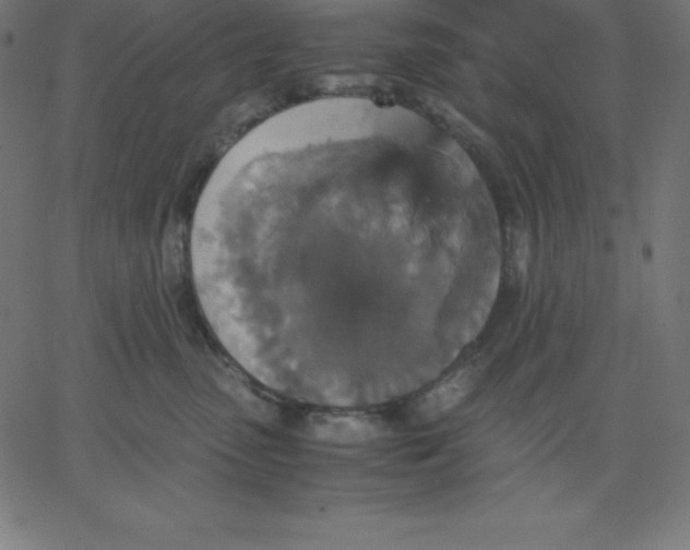 X0000067850475200604271649