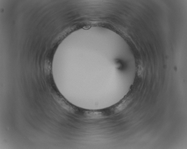 X0000067850476200604271649