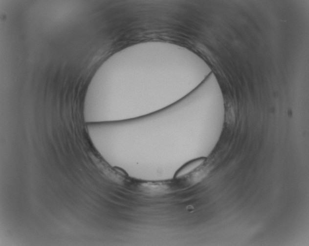 X0000067850477200604271649