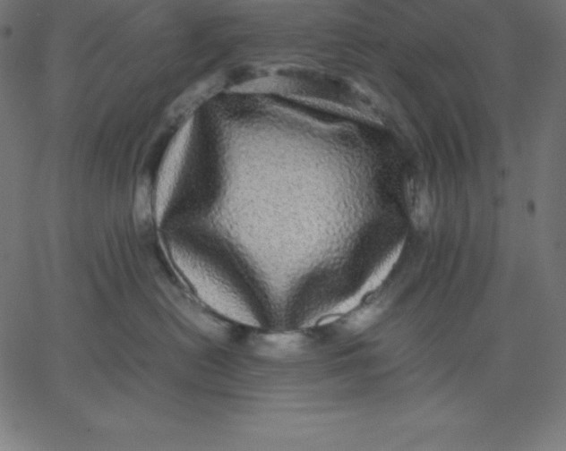 X0000067850478200604271649