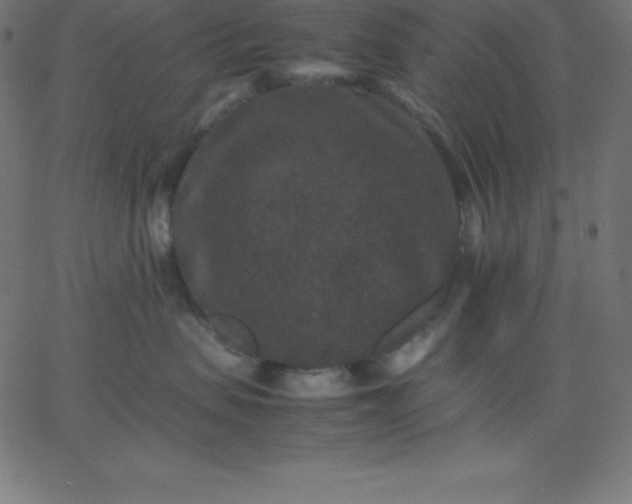 X0000067850479200604271650