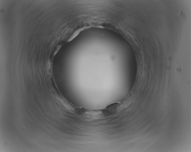 X0000067850480200604271650