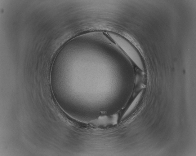 X0000067850481200604271649