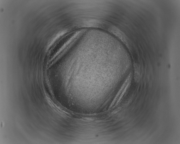 X0000067850482200604271649