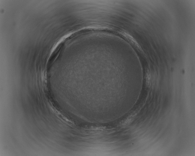 X0000067850484200604271649