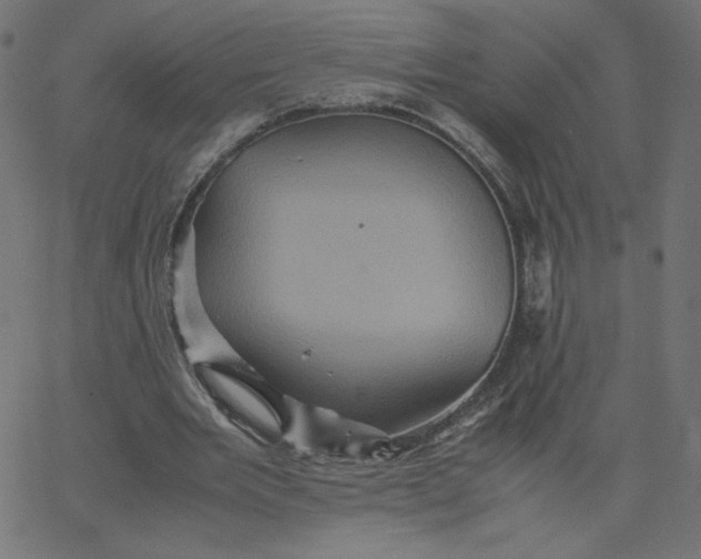 X0000067850485200604271649