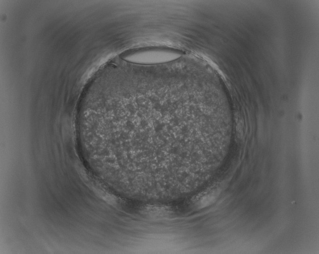 X0000067850487200604271649