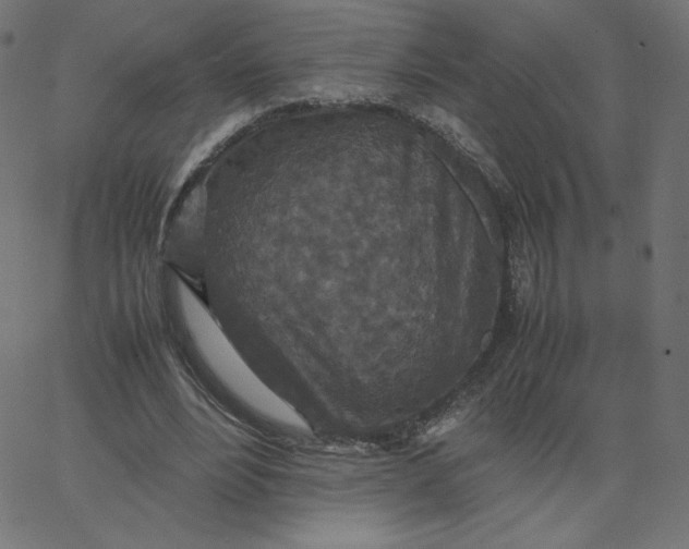 X0000067850488200604271649