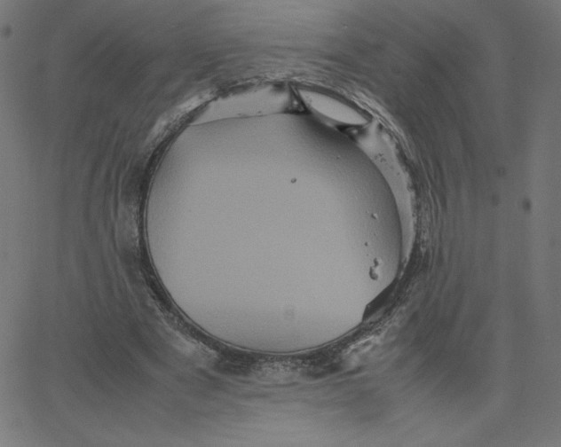 X0000067850489200604271649