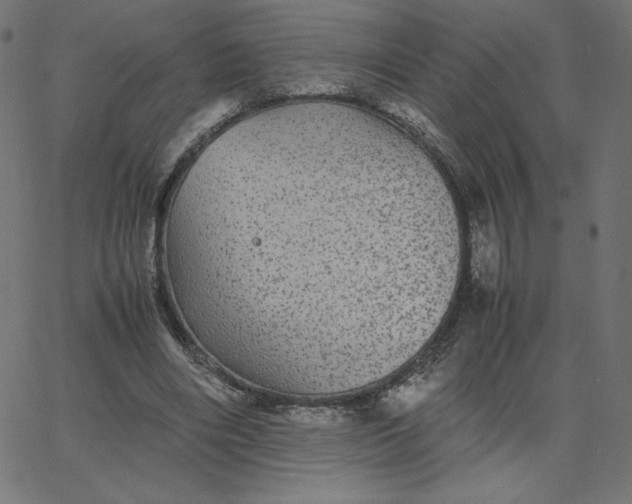 X0000067850490200604271649