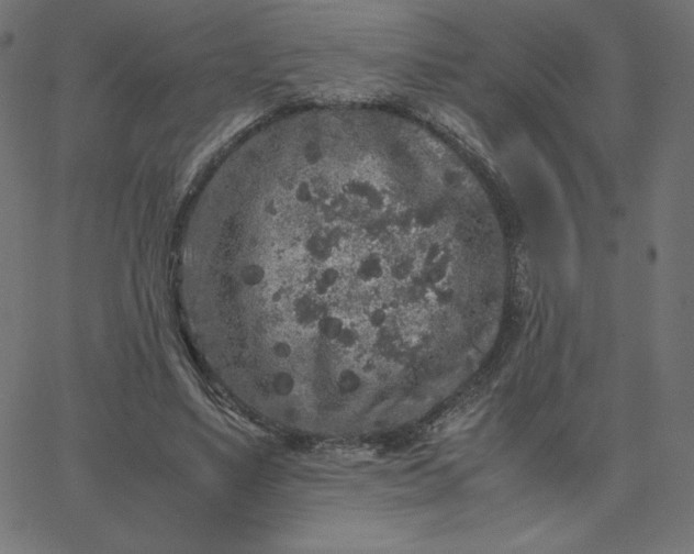 X0000067850491200604271649