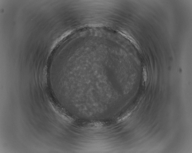 X0000067850492200604271649